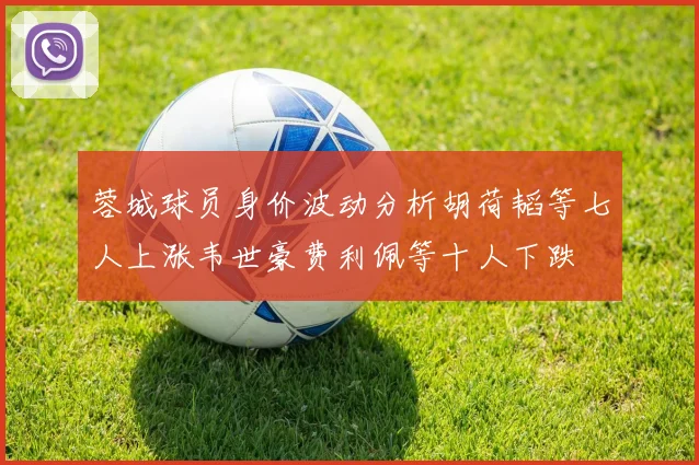 蓉城球员身价波动分析胡荷韬等七人上涨韦世豪费利佩等十人下跌